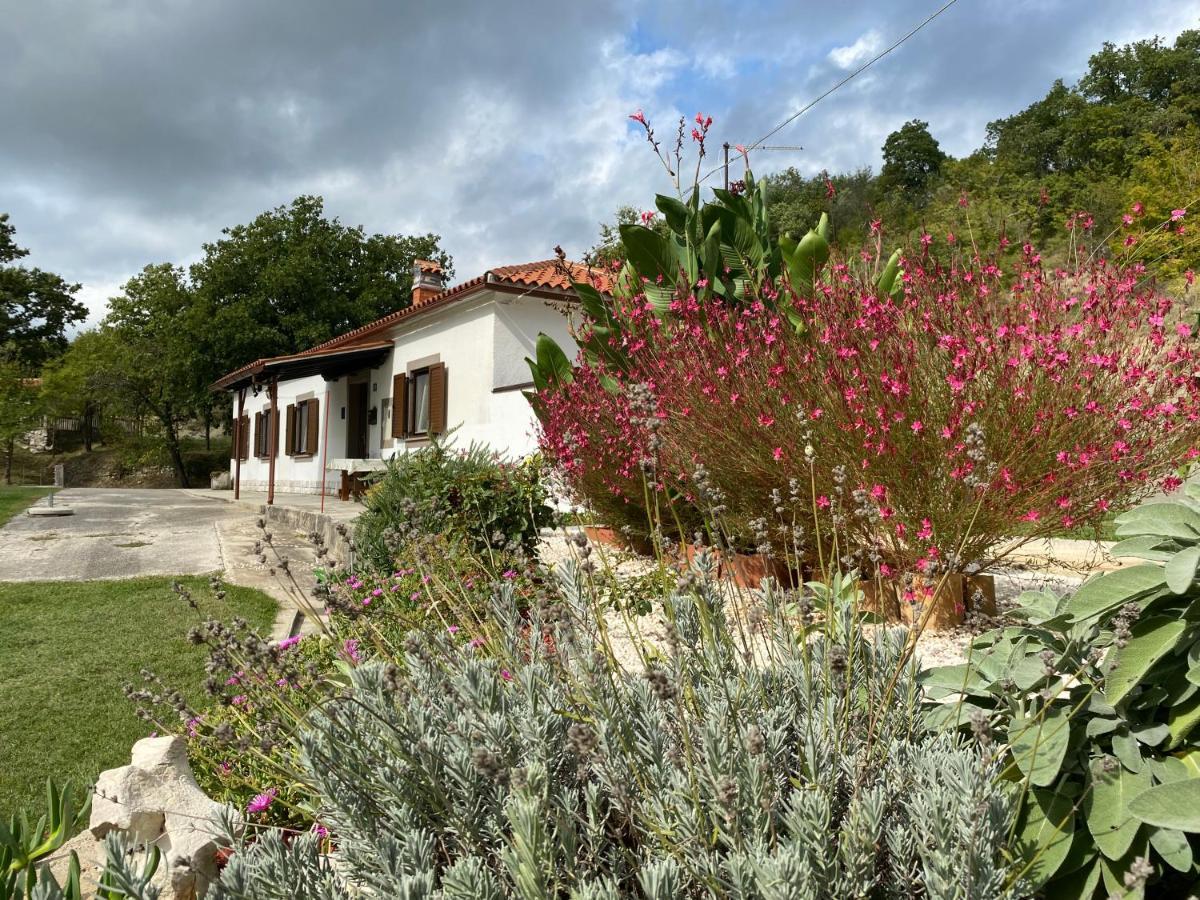 Istrian House In The Heart Of Tupljak - Smilovic Potpićan 외부 사진